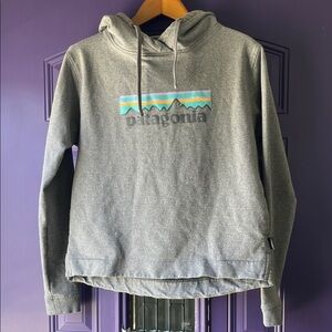 Patagonia Gray Hoodie with Colorful Logo